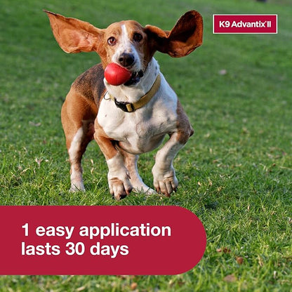 K9 Advantix II Small Dog Vet-Recommended Flea, Tick & Mosquito Treatment & Prevention | Dogs 4-10 lbs. | 4-Mo Supply