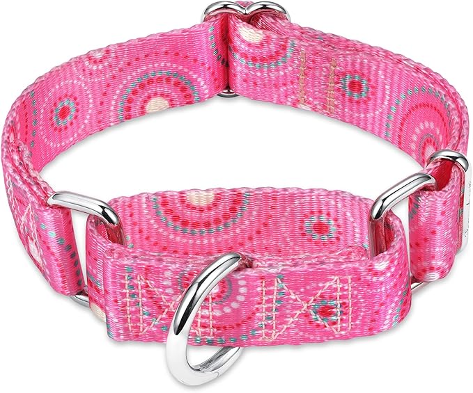 Martingale Collar Dog Collar No Pull Pet Collar Heavy Duty Dog Martingale Collars Silky Soft with Unique Pattern for Medium and Large Dogs (Firework Dots Pink,L)