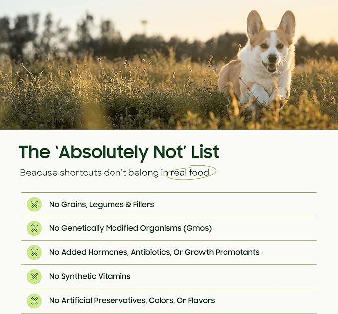 smallbatch Pets Freeze Dried Raw Dog Food, Beef Recipe, 25 oz, Organic High Protein Dog Food, Grain Free, Made in the USA, Humanely Raised Meat, Single Protein, for Picky Eaters, Hydrate & Serve