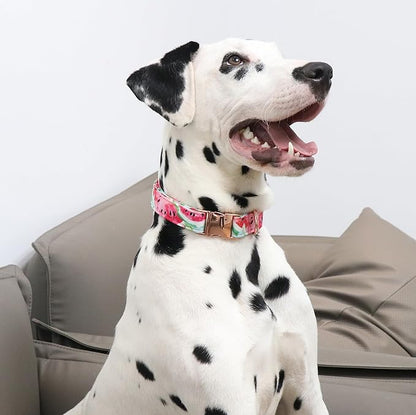 Unique Style Paws Watermelon Collar - Metal Buckle, Durable & Cute for Small, Medium & Large Dogs