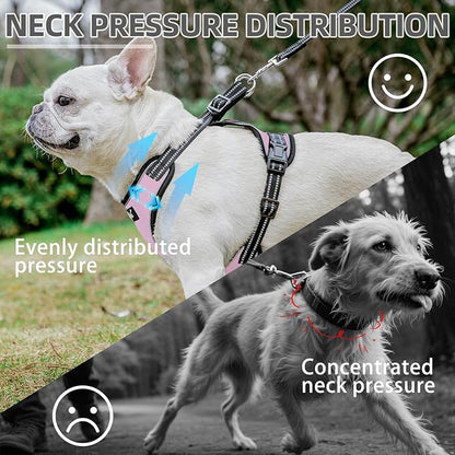 PUPTECK Dog Harness and Leash Set Medium Sized, Adjustable Reflective Escape Proof Puppy Vest, No Pull Walking Harness Easy Control