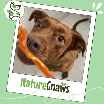 Nature Gnaws USA Turkey Tendons for Dogs (4oz) - Delicious Grain Free Reward Snack for Small, Medium & Large Breeds - Premium Natural Dog Chew Treats