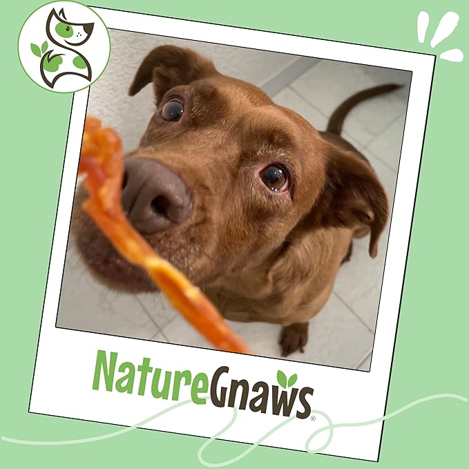 Nature Gnaws USA Turkey Tendons for Dogs (1Lb) - Delicious Grain Free Reward Snack for Small, Medium & Large Breeds - Premium Natural Dog Chew Treats
