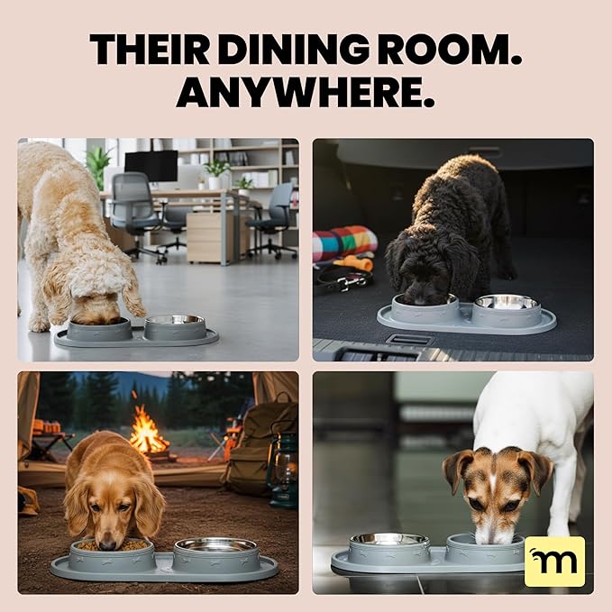 MalsiPree 2-in-1 Puppy Slow Feeder & Water Bowl Set - Puppy Adoption Gifts & Dog Birthday Treats Station - Silicone Feeding Mat with Stainless Steel Bowls - Accessories & Training Supplies - Gray