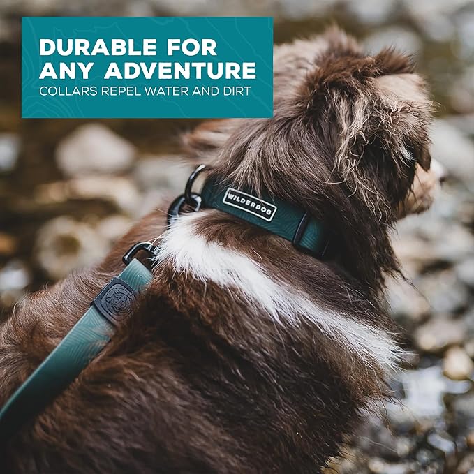 Wilderdog Waterproof Dog Collar - Repels Water & Dirt - Large 17"-24" - Cedar