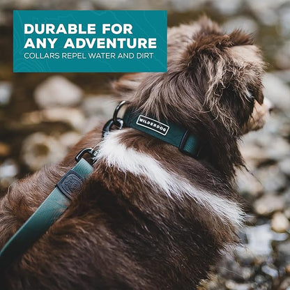Wilderdog Waterproof Dog Collar - Repels Water & Dirt - Large 17"-24" - Cedar
