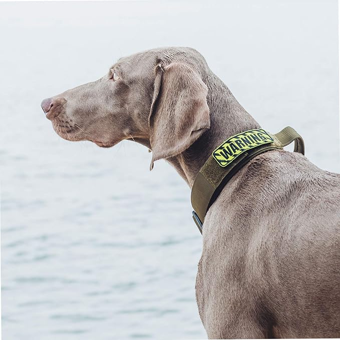 OneTigris Tough Dog Collars, Tactical Dog Collar with Handle, Milltary Adjustable Dog Collar with Heavy Duty Metal Buckle for Training (Large(Pack of 1), Green)