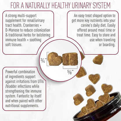 Strawfield Pets Cranberry Bladder & UTI Chews for Dogs D-Mannose + Vitamin C for Urinary Tract Support Bacon Flavored Soft Chews 120 softchews