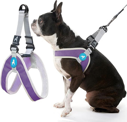 Gooby Simple Step in III Harness - Purple, Medium - Small Dog Harness with Scratch Resistant Outer Vest - Soft Inner Mesh Harness for Small, Medium Dogs
