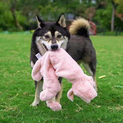 Best Pet Supplies Squeaky Dog Toys with Soft Durable Fabric for Small, Medium and Large Pets Interactive Toy for Indoor Play, Supports Active Biting and Play - Hare, Pig, Medium