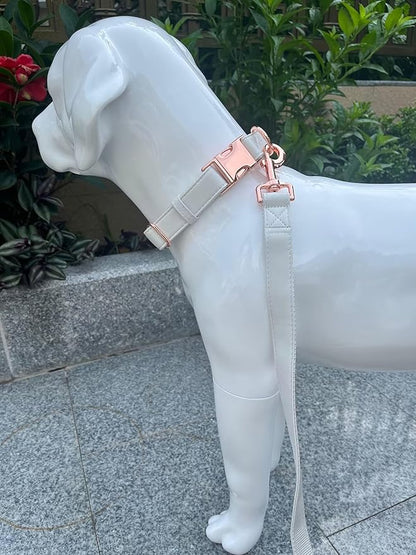 Dog Collar and Leash Set.Soft and Easy to Clean Vegan Leather with Rose Gold Metal Buckle for Small Medium Large Dogs (Off-White, XS(8"-12"))