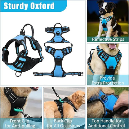 No Pull Dog Harness Adjustable Collar & Leash Set - Dog Halter Harnesses Collapsible Bowls & Poop Bag Dispenser Muzzle ID Tags Toys Fits Small Medium Large Dogs (Blue-L)
