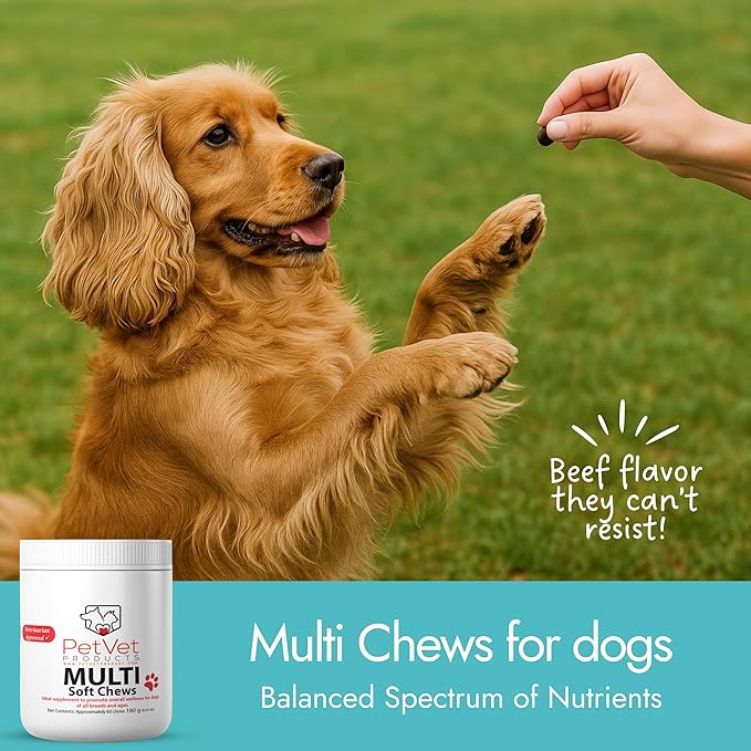 Pet Vet Multi Soft Chews for Dogs (Beef Liver, 60 Chews) – Multi, Probiotics for Digestive Health – Glucosamine, Skin Supplement – Immune Support, Supplements