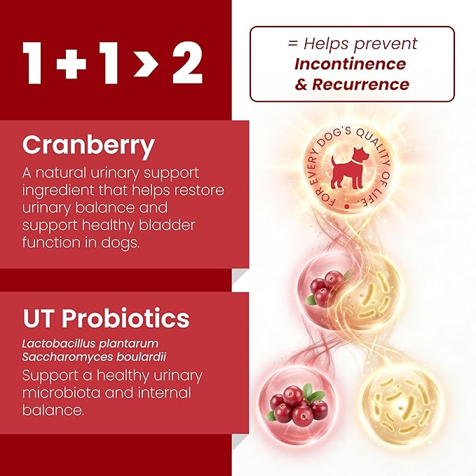 Pawpulse Formula Cranberry for Dogs, Urinary Tract Support for UTI Health, Bladder Stones, Incontinence, Urine Flow, Probiotics for Gut & Immune, 90 Chews