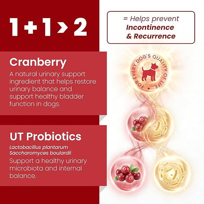 Pawpulse Formula Cranberry for Dogs, Urinary Tract Support for UTI Health, Bladder Stones, Incontinence, Urine Flow, Probiotics for Gut & Immune, 90 Chews