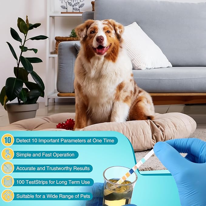 100 x Pet Urine Testing Strips, 10 in 1 UTI Test Kit for Cat & Dog, Multi-Parameter Urinalysis Reagent Strips: Leukocytes, Urobilinogen, Protein, Ph, Blood, Ketone, Bilirubin, Glucose & More