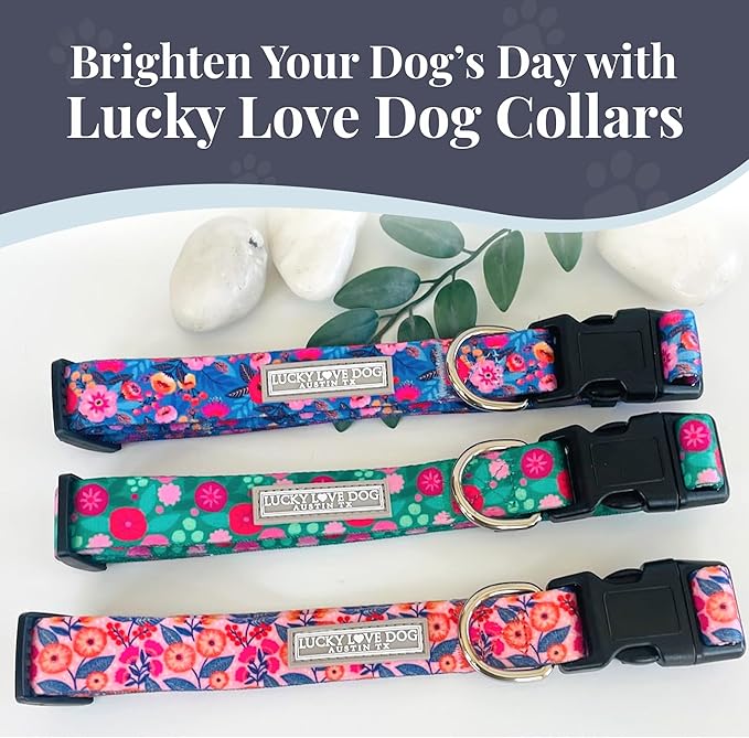 Lucky Love Dog - Adjustable Dog Collar with Easy Click Buckle for Small Dogs, Durable, & Comfortable for Male & Female Dogs, Pet Collar for Puppies & Adult Dogs - Rosie, Small