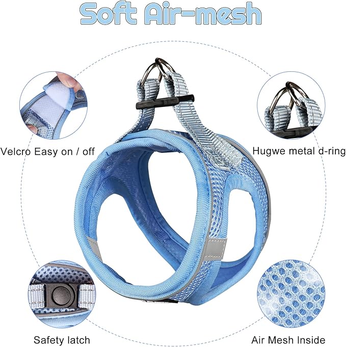 Dog Harness for Small Dogs and Leash Set, Honeycomb Grid, Reflective Lightweight Harness & Anti-Twist Pet Lead Multi Color, Size: XS-S-M. (S, Aqua Blue)