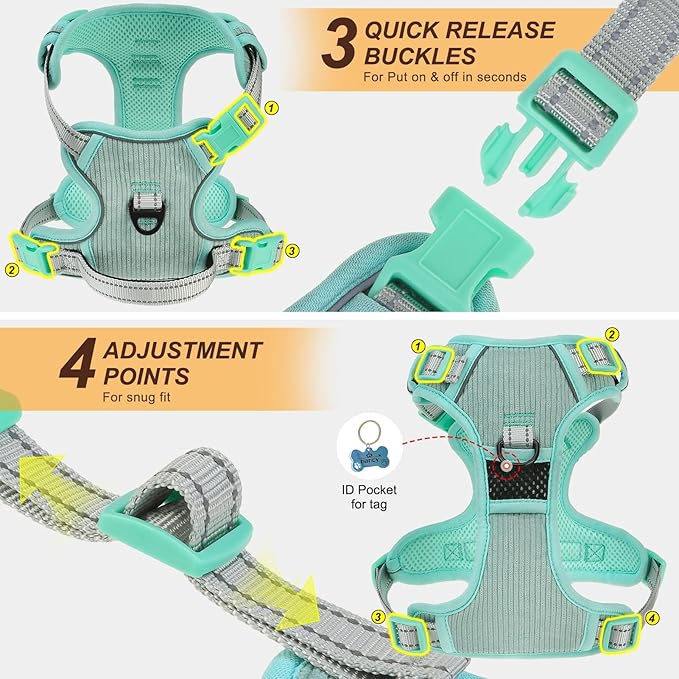 BEAUTYZOO No Pull Dog Harness, Adjustable Dog Harness and Leash Set -Easy Wearing with 3 Buckles/Control Handle,No Choke Soft Padded Reflective Pet Vest for Training Walking Hiking,Solid Aqua Blue S