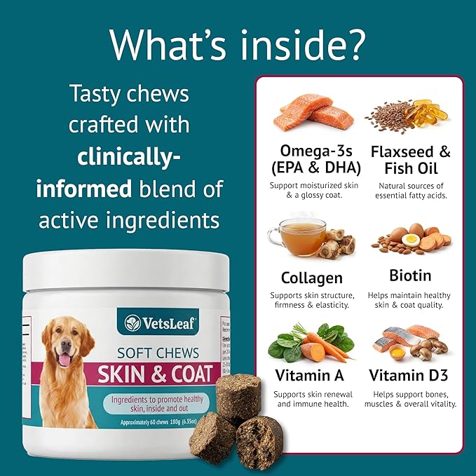 Skin & Coat Dog Chews – Collagen, Omega-3, EPA & DHA for Skin Health & Coat Shine – Antioxidant-Rich Supplement with Vitamin A & D3 – Supports Brain, Energy, and Balanced Blood Sugar