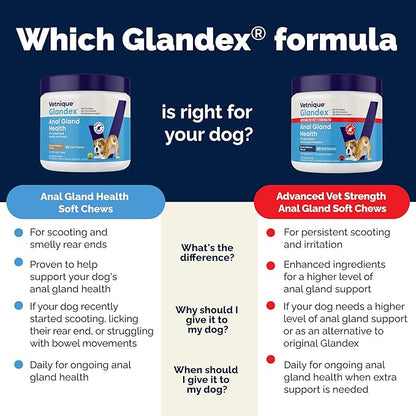 Vetnique Glandex Anal Gland Soft Chew Treats with Pumpkin for Dogs Digestive Enzymes, Probiotics Fiber Supplement for Dogs Boot The Scoot (Bacon Flavor Chews, 30 Count) (Pack of 2)