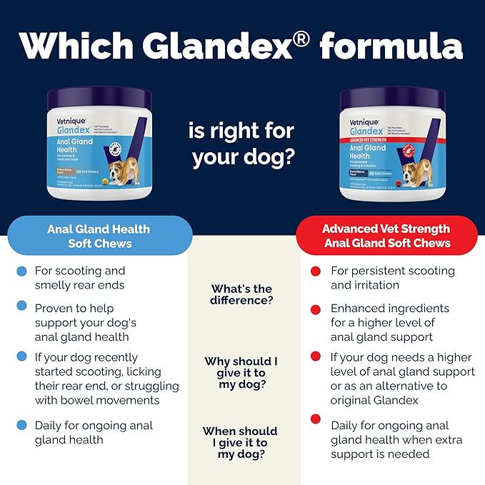 Vetnique Glandex Anal Gland Soft Chew Treats with Pumpkin for Dogs Digestive Enzymes, Probiotics Fiber Supplement for Dogs Boot The Scoot (Bacon Flavor Chews, 120 Count)