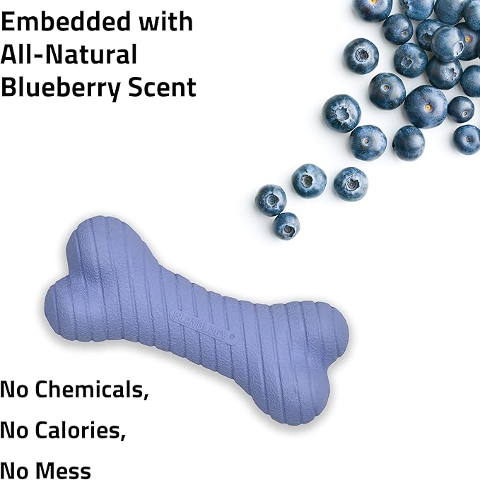 Playology Dog Toys | Dual Layer Bone Durable Chew Toy Bone for Dogs (Value 2-Pack) | Small Blueberry Scented Toy - Easy to Clean and Made from Non Toxic Materials