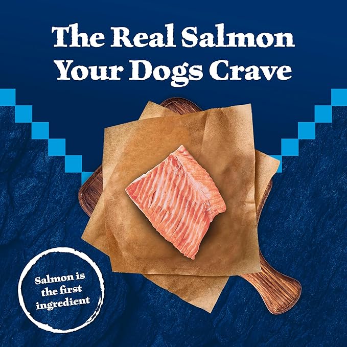 Blue Buffalo Wilderness Trail Treats High Protein Grain Free Dog Biscuits Crunchy Dog Treats, Salmon Recipe, 10-oz Bag