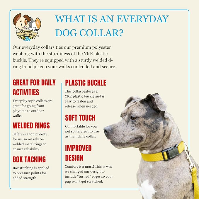 Country Brook Petz - Everyday Nylon Dog Collar for Large, Medium, and Small Dogs and Puppies - for Everyday Use in 15+ Cool Colors (Medium, 3/4 Inch Wide, Yellow)