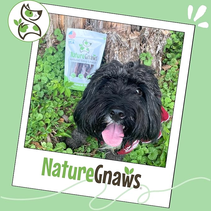 Nature Gnaws USA Steer Sticks for Dogs 5-7" (8oz) - Mixed Thickness - Long Lasting for Aggressive Chewers and Large Dogs - Natural Beef Bully Dog Chew Bones
