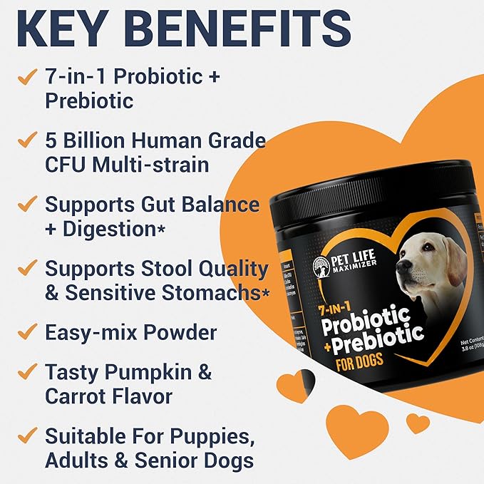 7-in-1 Probiotic + Prebiotic for Dogs. For Digestive Health, Yeast, Itchy Skin, Itchy Ears, Paw Licking. Dog Gut Health Probiotics Supplement 5 Billion CFU Multi-Strain Formula. Daily Powder Topper