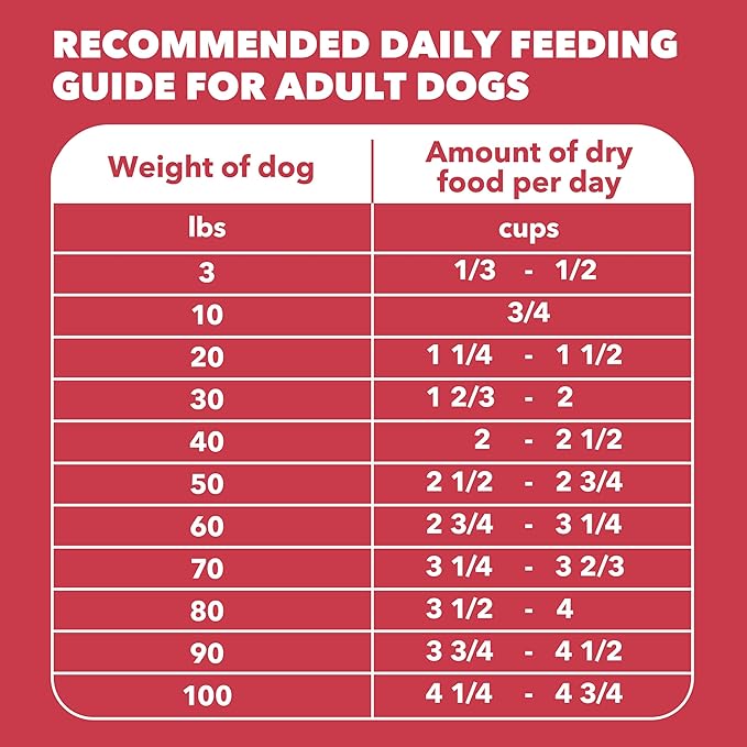IAMS Dry Dog Food Lamb and Rice Proactive Health Food for Dogs, 15.0 lb