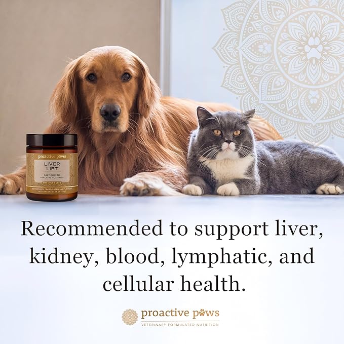 PROACTIVE PAWS Liver Lift – Daily Detox & Organ Support Supplement for Dogs & Cats, Supports Liver, Kidney, and Metabolic Health
