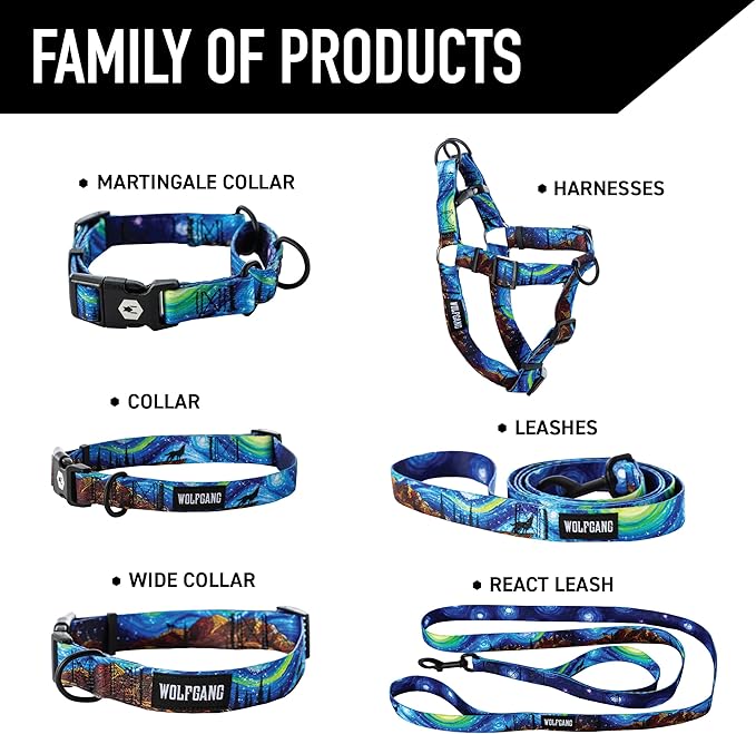 Wolfgang Heavy Duty Dog Leash, Pull-Tested for Walking & Training, StarryWolf Print, Small
