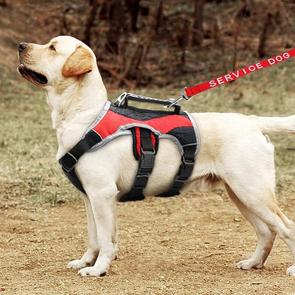 YeeBeny Service Dog Leash, Emotional Support Leash with Neoprene Handle and Reflective Lettering, Service Dog Stuff for Vest for Harnesses, Vests or Collars,Red