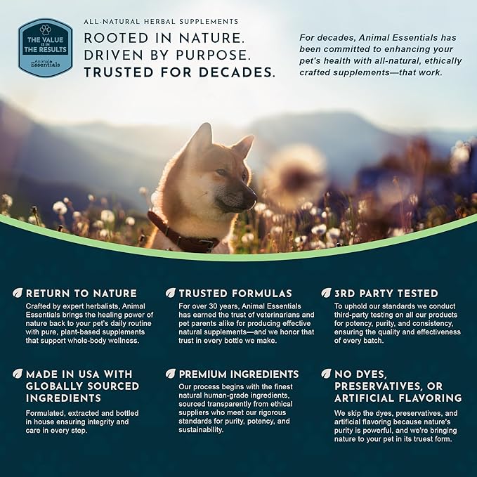 Animal Essentials Heart Health for Dogs & Cats - Cardiovascular Support Supplement, Healthy Heart, Organic Hawthorn Berry, Herbal Tincture - 2 Fl Oz