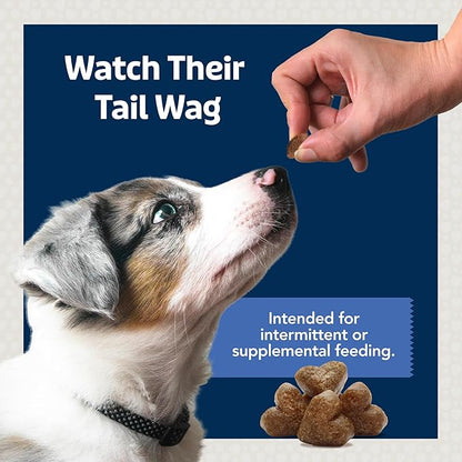 Blue Buffalo Bits Soft Dog Treats for Training, Made with Natural Ingredients & Enhanced with DHA, Chicken & Beef 19-oz Variety Pack, 2 ct