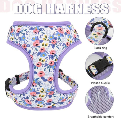 Beirui Cute Girl Dog Collars, Harnesses & Leashes Set - Adjustable Dog Collar and Leash Set with Flower - Soft Mesh Dog Vest Harness for Puppies Small Medium Dogs (Blue,XS)