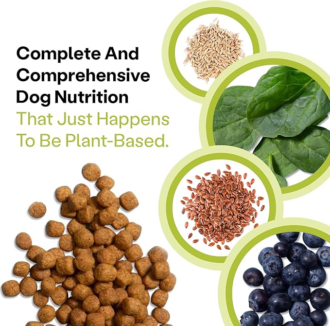 Wild Earth Vegan Dry Dog Food Performance Formula | Plant-Based Vegetarian Kibble | Wheat-Free, Allergen-Free, Veterinarian-Developed | Veggie Supreme Flavor, 4lb Bag