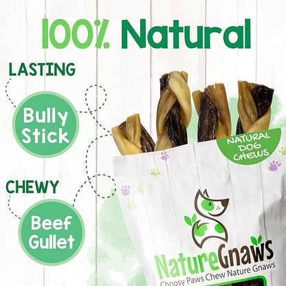 Nature Gnaws Braided Bully Twists for Dogs 5-6" (10 Count) - Long Lasting for Small and Medium Dogs - Natural Beef Dog Chew Bones