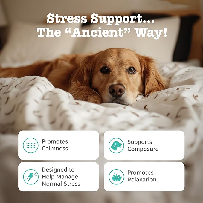 Zesty Paws Calming Chews for Dogs - for Everyday Stress, Relaxation, Composure, and Separation Bison 90 Count