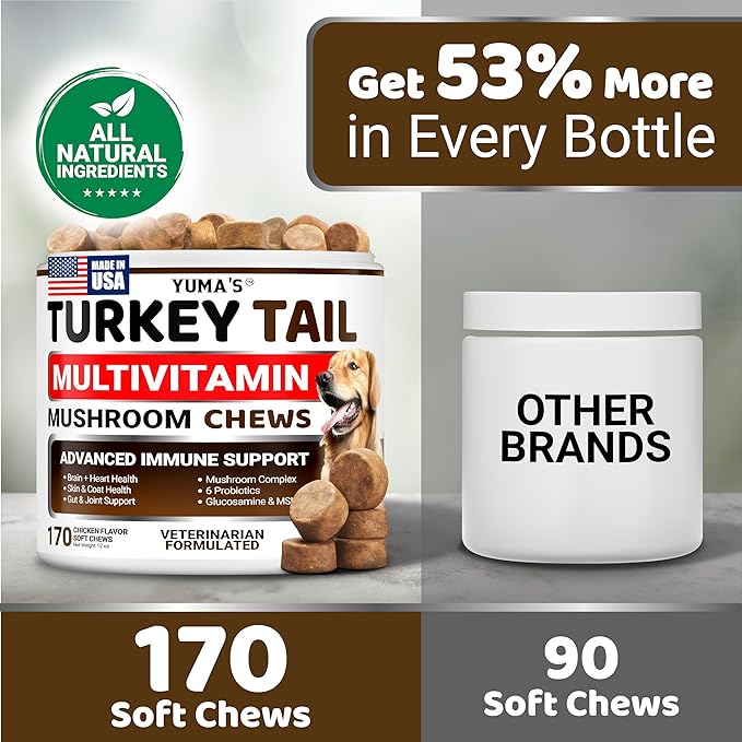 (2-Pack) Turkey Tail Mushroom for Dogs - 340 Count - Mushroom Chews for Dogs Lipoma Lumps and Bumps - Immune Health, Digestive, Skin, Joint Vitamin Support Guard Buddy - Multivitamin Supplement