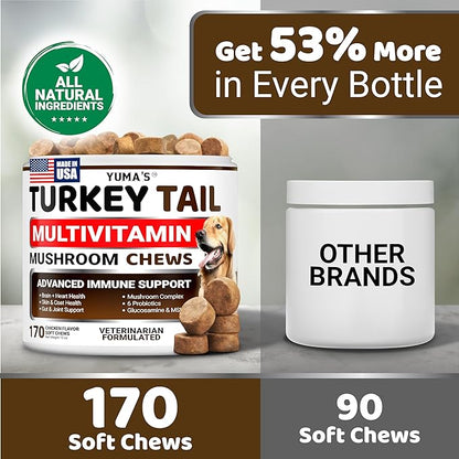 (2-Pack) Turkey Tail Mushroom for Dogs - 340 Count - Mushroom Chews for Dogs Lipoma Lumps and Bumps - Immune Health, Digestive, Skin, Joint Vitamin Support Guard Buddy - Multivitamin Supplement