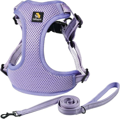 BELLA & PAL Adjustable Step-in Dog Harness, Puppy No-Pull Vest with Leash Set for XS/Small & Medium Dog, Breathable All-Weather Mesh, Reflective Strip, Secure Hook & Loop