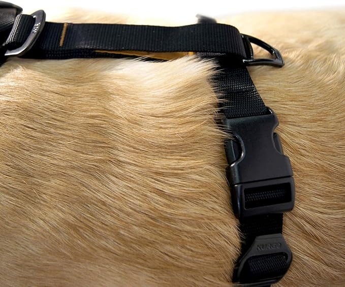 Kurgo Tru-Fit Smart Dog Walking Harness - Comfortable Fit - Adjustable Harness - Reflective Pet Wear - Quick Strap Release - Daily Walk Accessory - Includes Seat Belt Loop - Black - Large