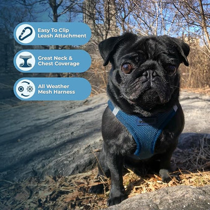 Best Pet Supplies Voyager Step-in Air All Weather Mesh Harness and Reflective Dog 5ft Leash Combo with Neoprene Handle, for Small, Medium and Large Breed Puppies - Set (Blue), X-Small