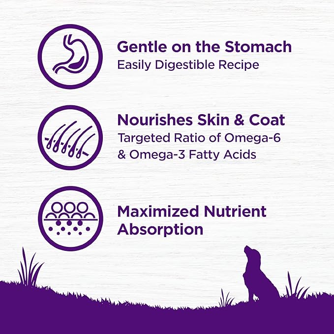 Wellness Complete Health Sensitive Skin and Stomach Dry Dog Food, Wholesome Grain Kibble, Natural, Chicken Free, Salmon and Rice Recipe, 38 lb Bag