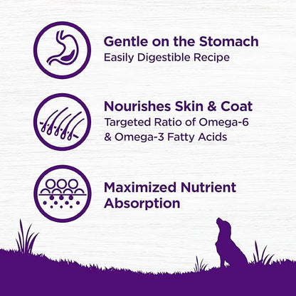 Wellness Complete Health Sensitive Skin and Stomach Dry Dog Food, Wholesome Grain Kibble, Natural, Chicken Free, Salmon and Rice Recipe, 38 lb Bag