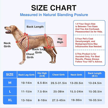 Dog Hip Dysplasia Brace with Hot/Cold Gel Pack – Adjustable Hind Leg Support Wrap for Arthritis, Joint Pain Relief & Post Mobility Recovery, Size XL