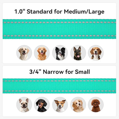 Joytale Dog Leash, 5 FT Double-Sided Reflective, Padded Handle Nylon Heavy Duty Leashes for Medium & Large Dogs Walking, Teal